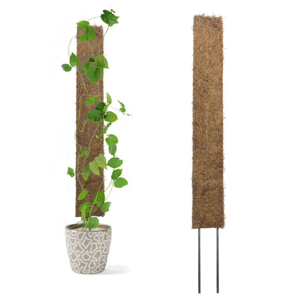 Flat Moss Pole