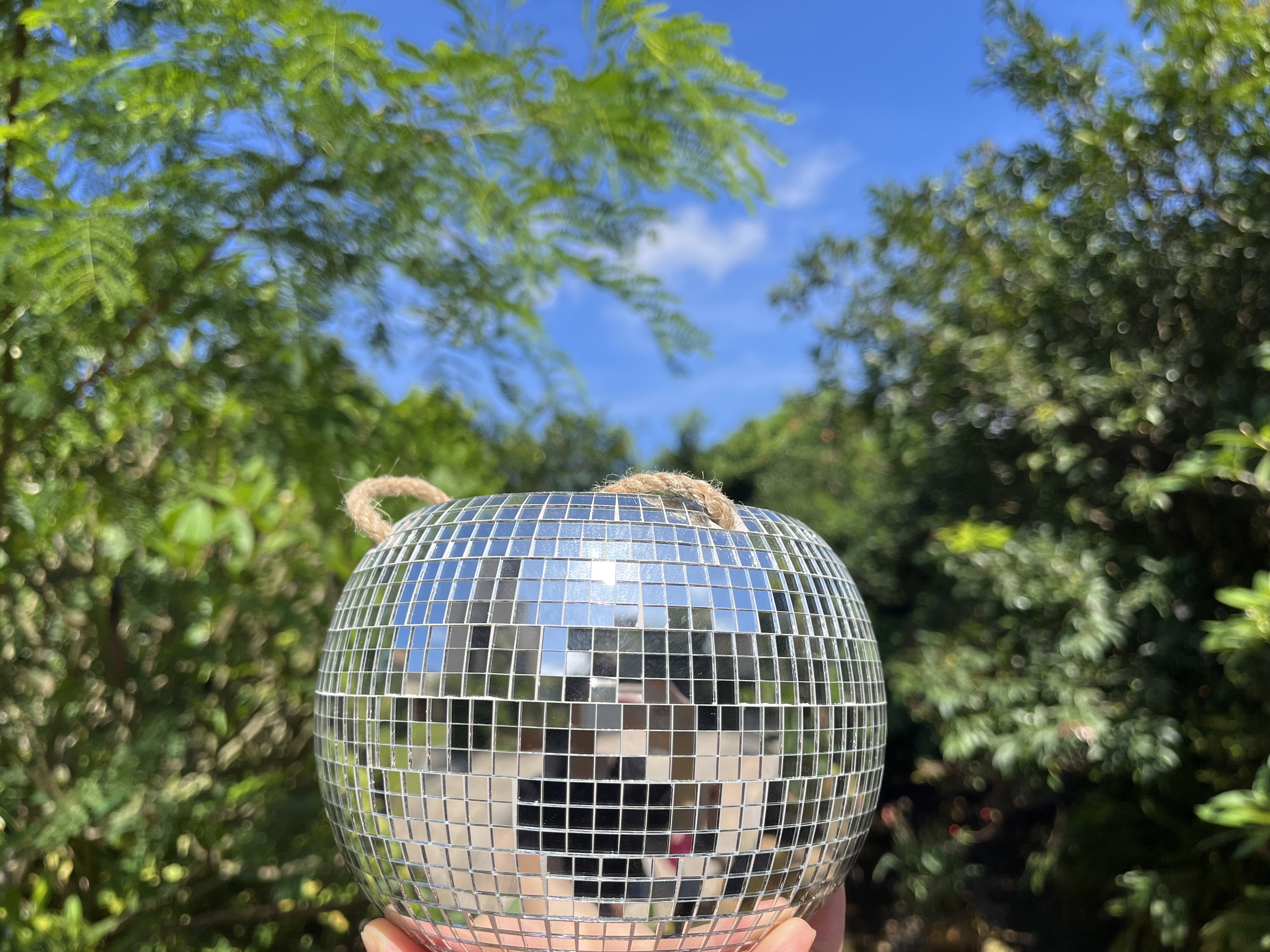 6 Inch  Ceramin Disco Ball Hanging Plant Pot