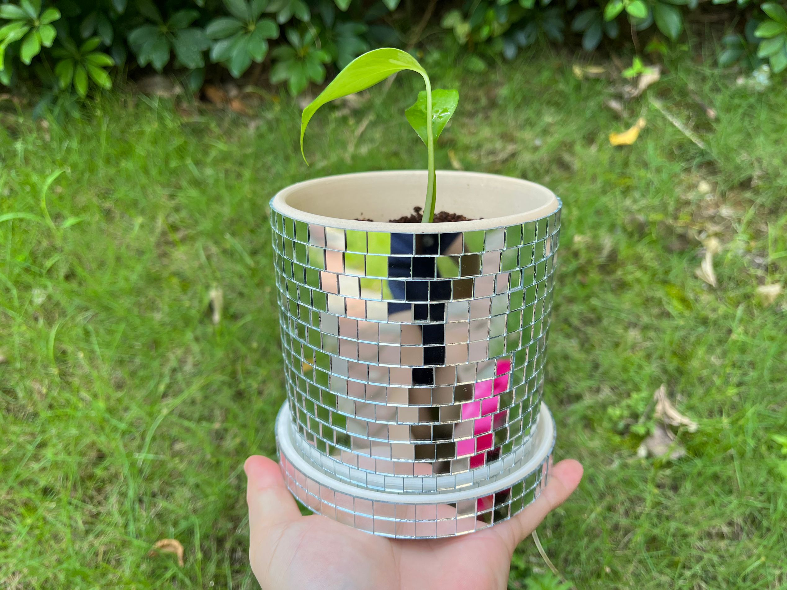 Cylinder Ceramic Disco Planter Pot 